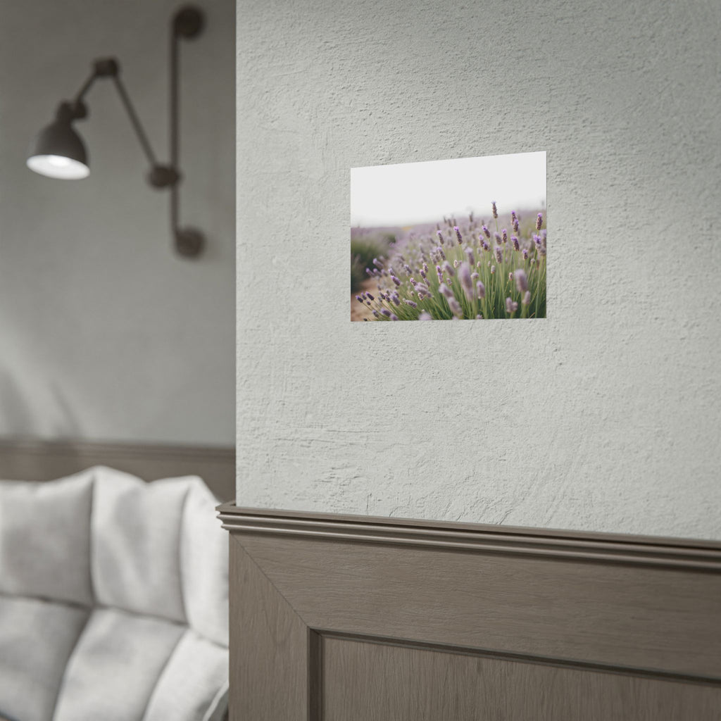 Muurdecoratie met lavendelveld – Poster 